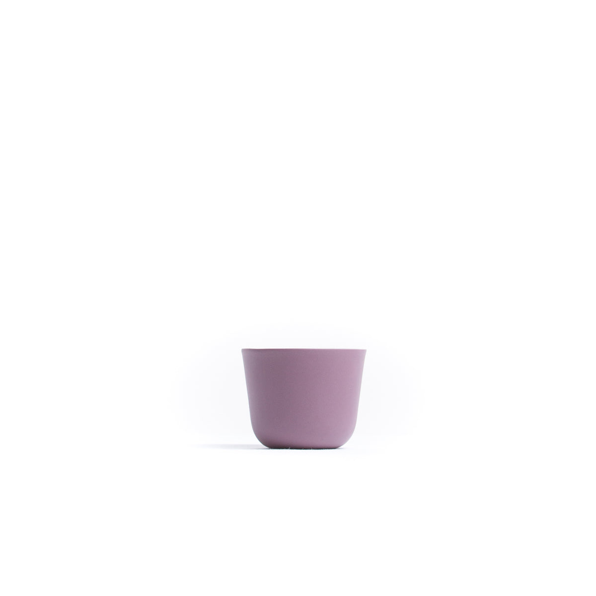 Morning Cup