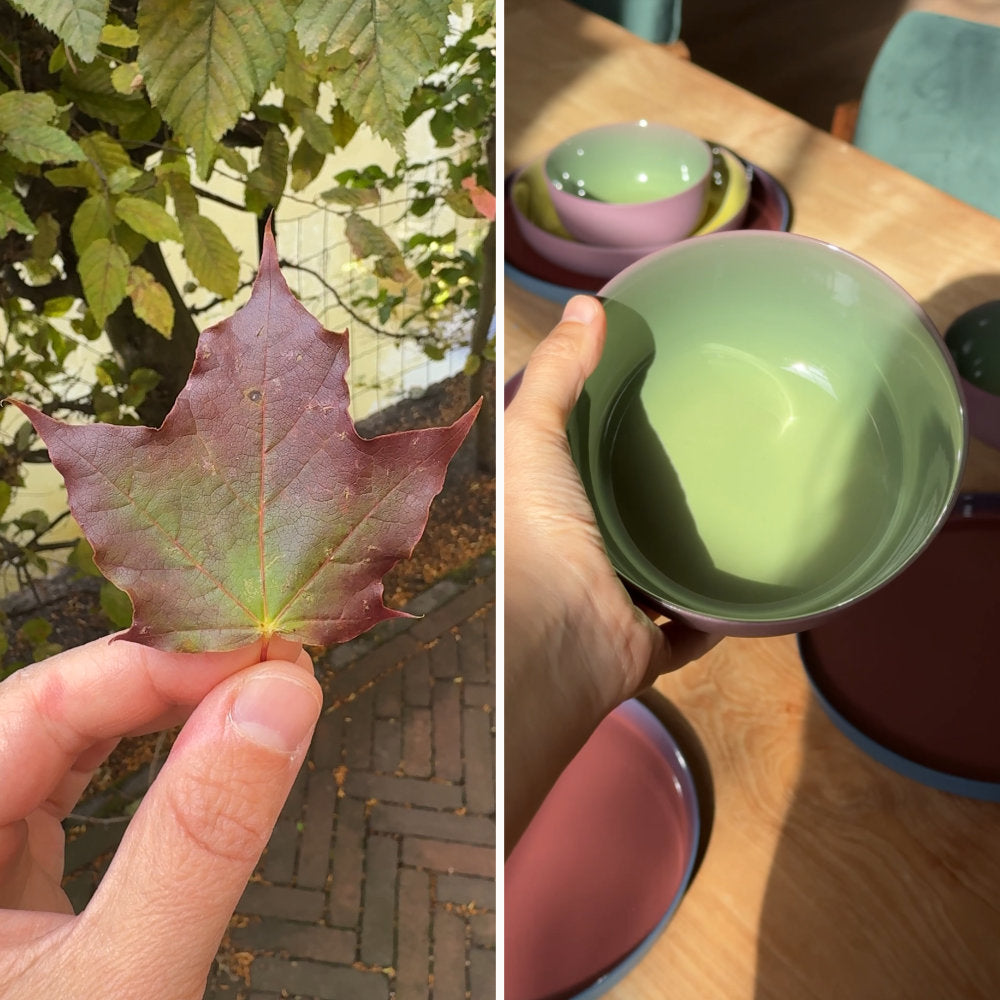 Turning Leaves Collection