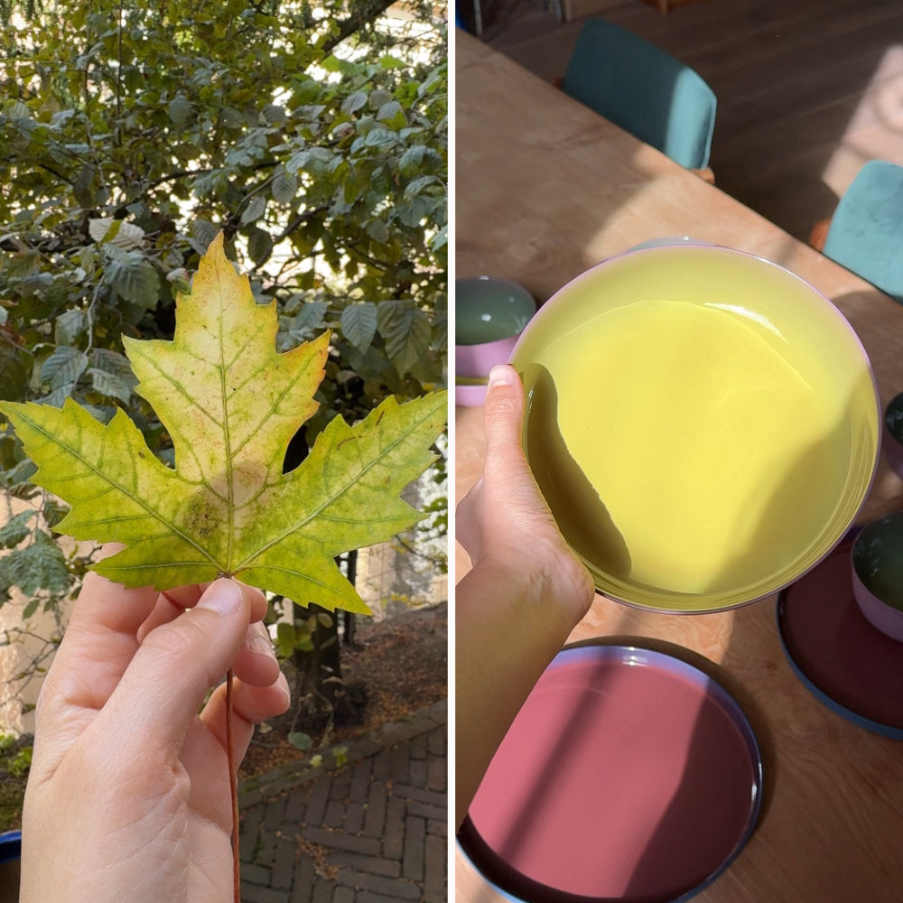 Turning Leaves Collection