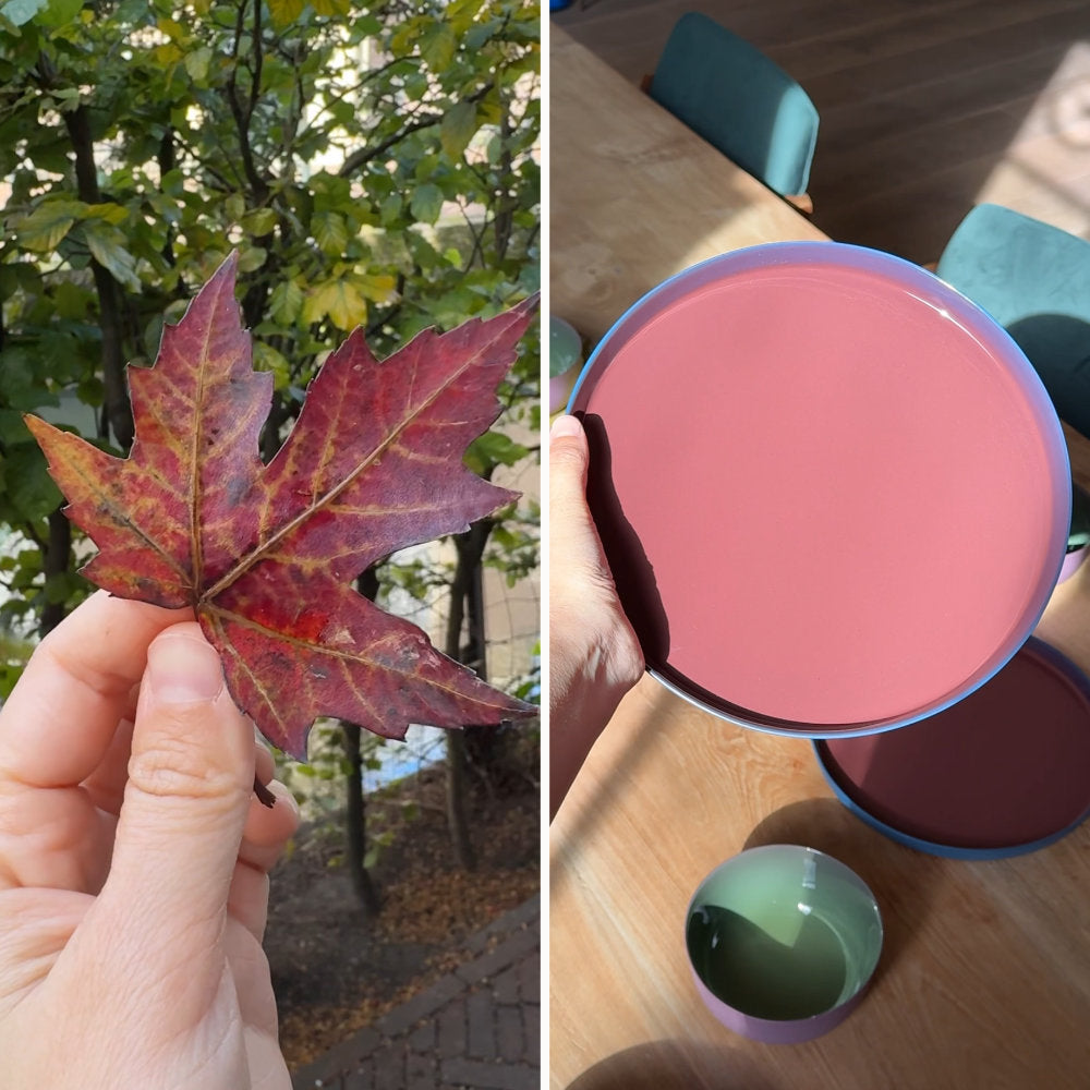 Turning Leaves Collection